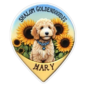 Shalom Goldendoodles by Mary Location icon png