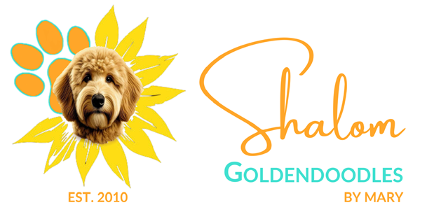 Shalom Goldendoodle dog inside a Paw print and sunflower. Shalom Goldendoodles by Mary