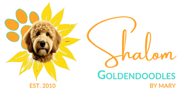transparent shalom goldendoodles logo