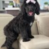 74b90852 d132 4032 a1a3 a15920353e56 2