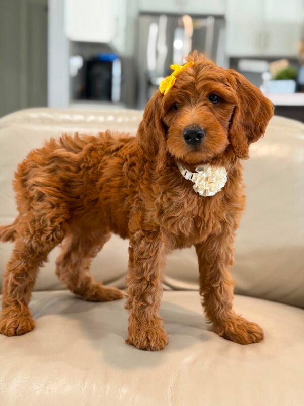 26c25903 80e8 4d36 9102 ae362c85761a 1
