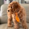 64572143 981a 49b9 a2bc 78617c127f0d 1