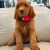 c720f4d7 36bb 4b9d bef8 7fe139b65096 1
