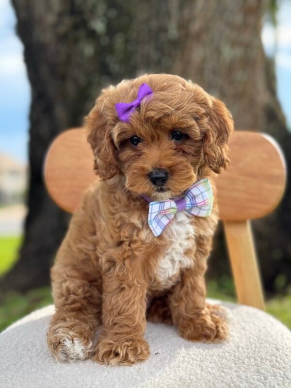 IMG 5808