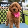 cc8c23e5 5861 4c61 9499 0d2a9da78229 1