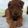 02da2e7a 3829 452b a0f8 41e1a3658c88