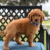 img 1553 1