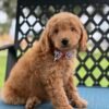 img 9517